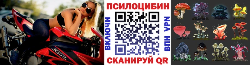 Псилоцибиновые грибы ЛСД  маркетплейс клад  Армавир 